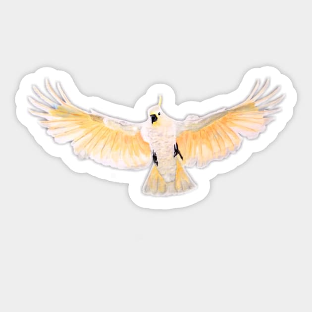 Cockatoo Sticker by tavartist